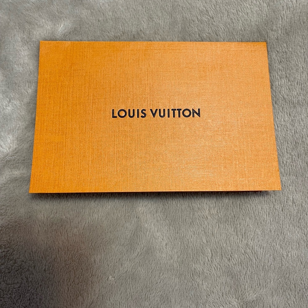 Louis Vuitton envelope new